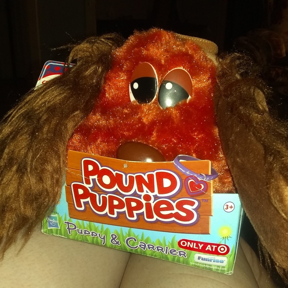 Pound Puppies Polish Dog🐶